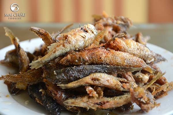ca-suoi-chien
