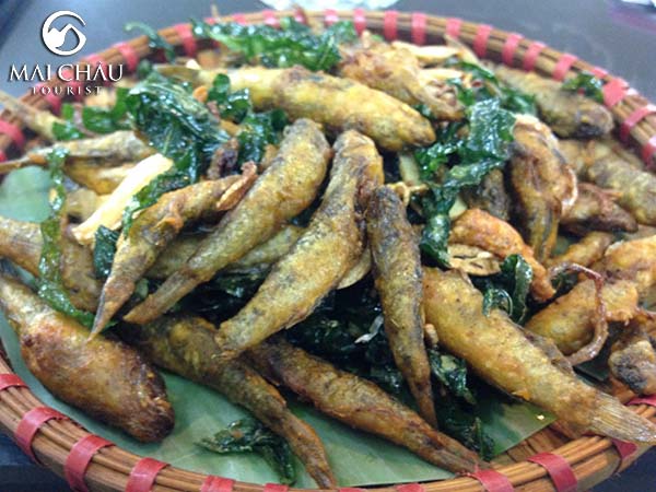 ca-suoi-mai-chau