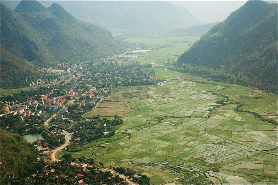 duong-di-mai-chau-co-nguy-hiem-khong