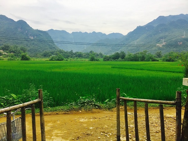 view nhìn từ resort